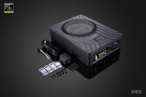 Sub điện Radical R65