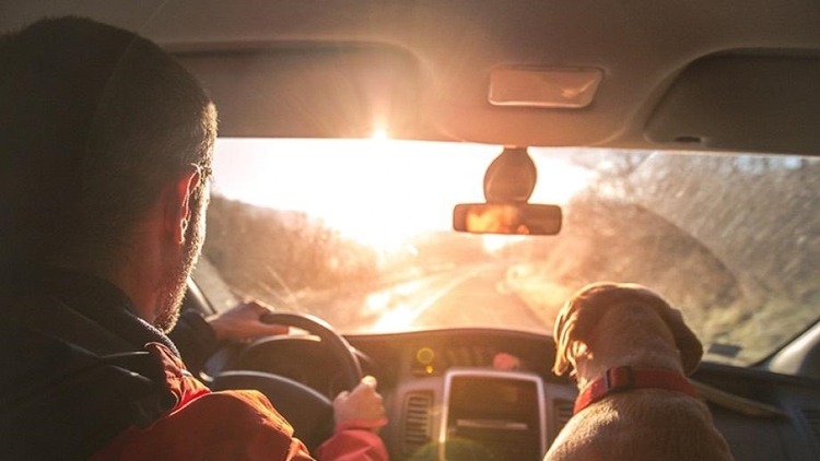 Những nguy hiểm khi dán phim cách nhiệt giá rẻ